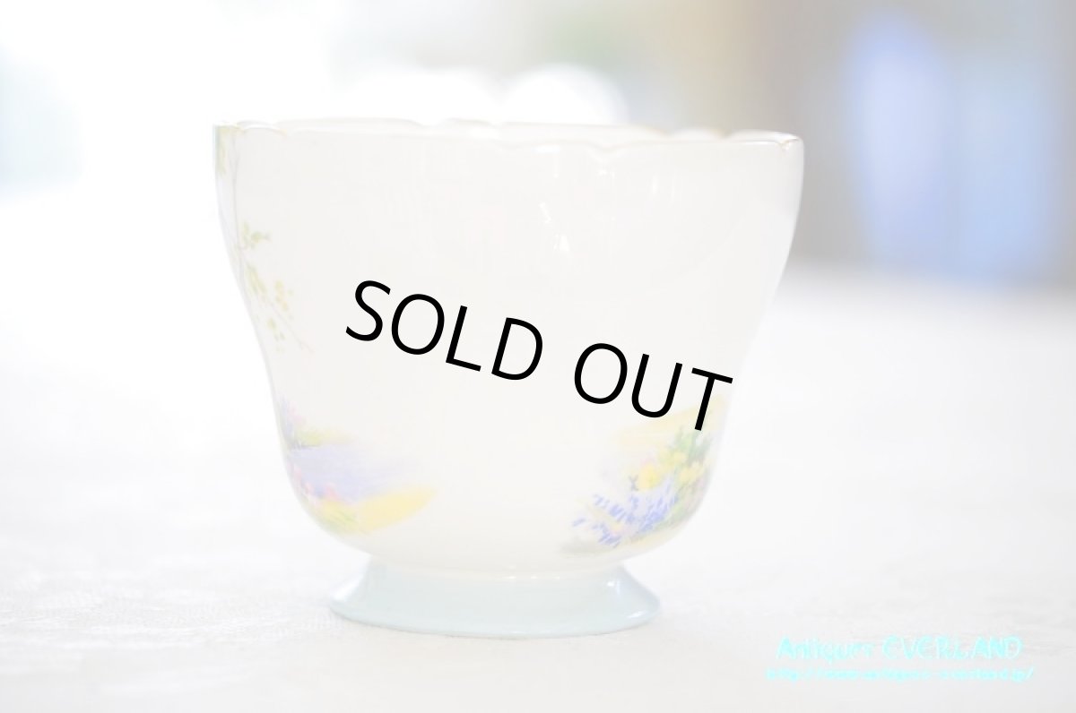 画像7: シェリー　カップ&ソーサー　Woodland　ウッドランド　森林　Richmond (7)