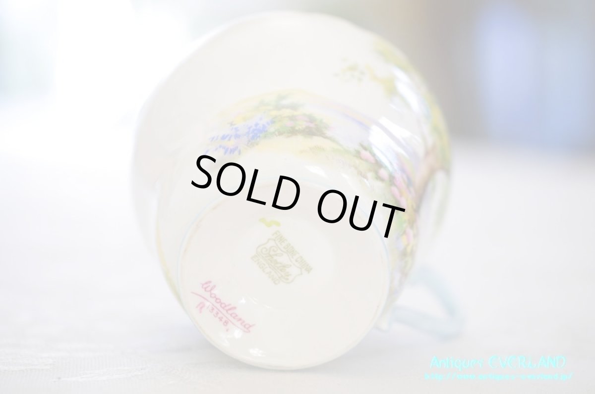 画像9: シェリー　カップ&ソーサー　Woodland　ウッドランド　森林　Richmond (9)