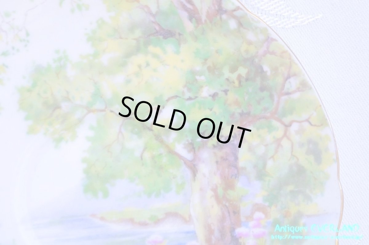 画像16: シェリー　カップ&ソーサー　Woodland　ウッドランド　森林　Richmond (16)