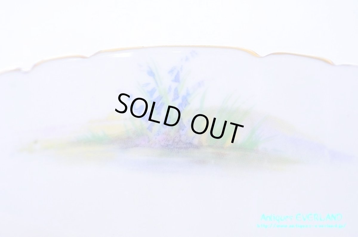 画像14: シェリー　カップ&ソーサー　Woodland　ウッドランド　森林　Richmond (14)