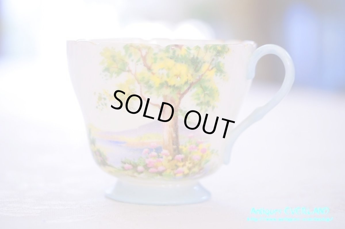 画像3: シェリー　カップ&ソーサー　Woodland　ウッドランド　森林　Richmond (3)