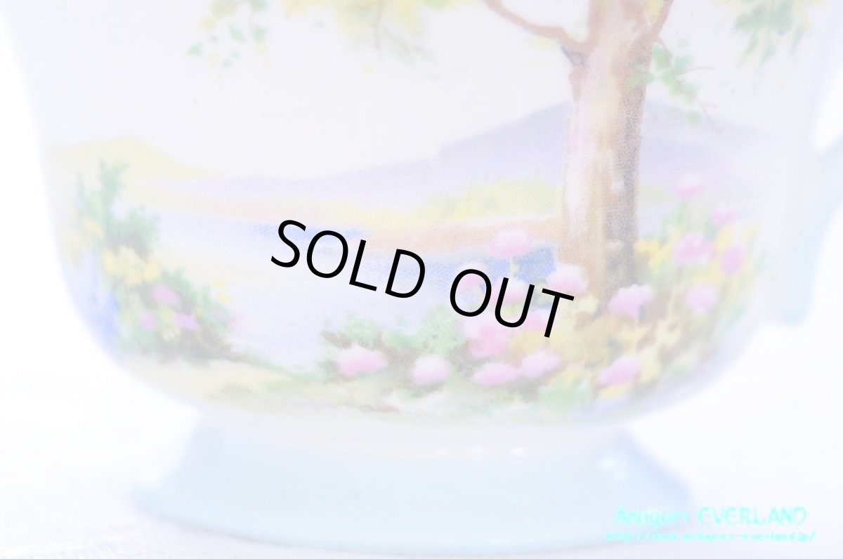 画像11: シェリー　カップ&ソーサー　Woodland　ウッドランド　森林　Richmond (11)