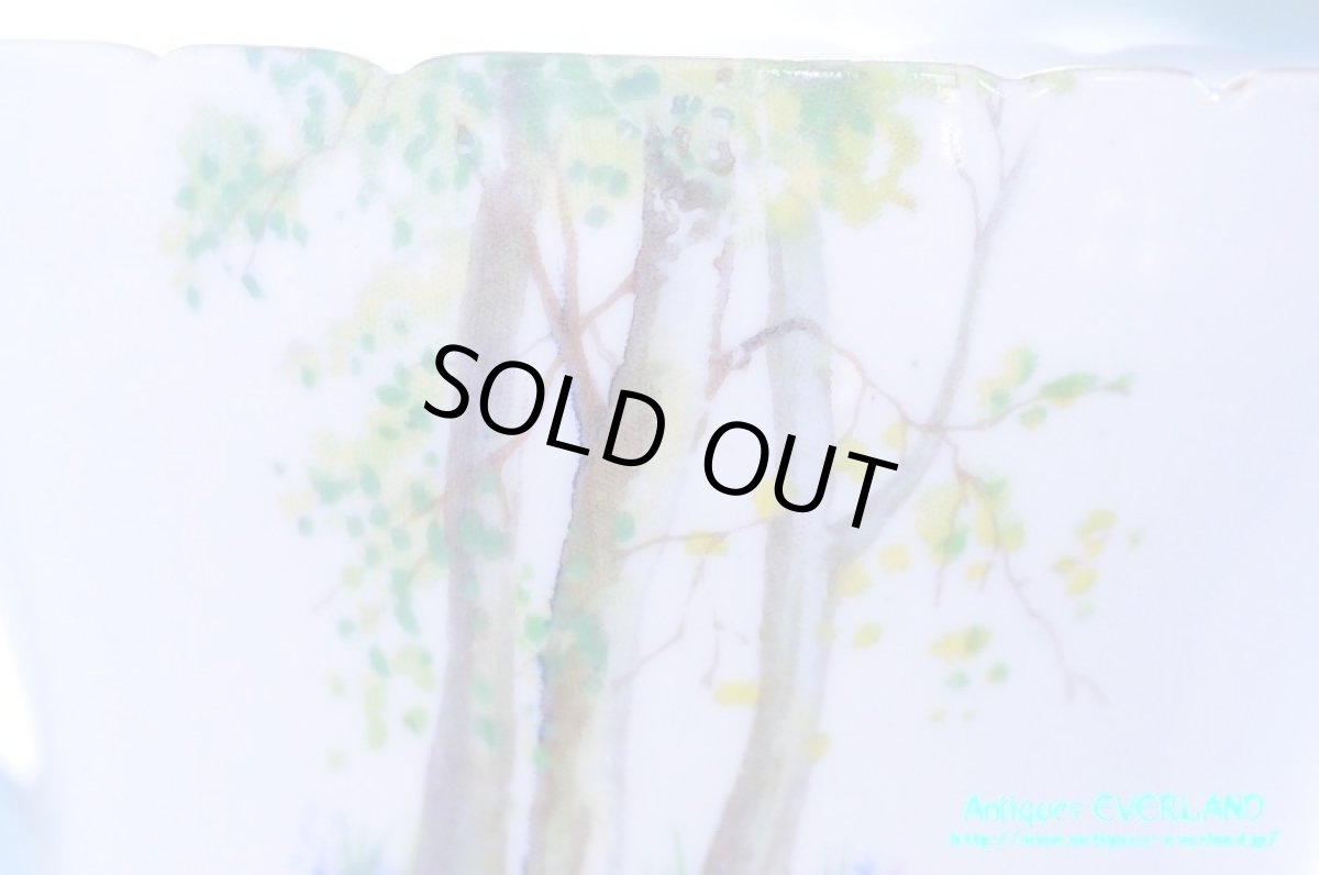 画像12: シェリー　カップ&ソーサー　Woodland　ウッドランド　森林　Richmond (12)