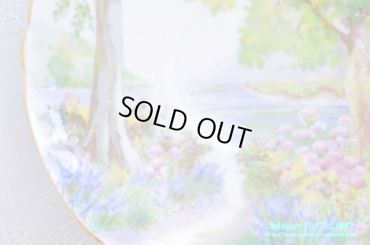 画像19: シェリー　カップ&ソーサー　Woodland　ウッドランド　森林　Richmond (19)