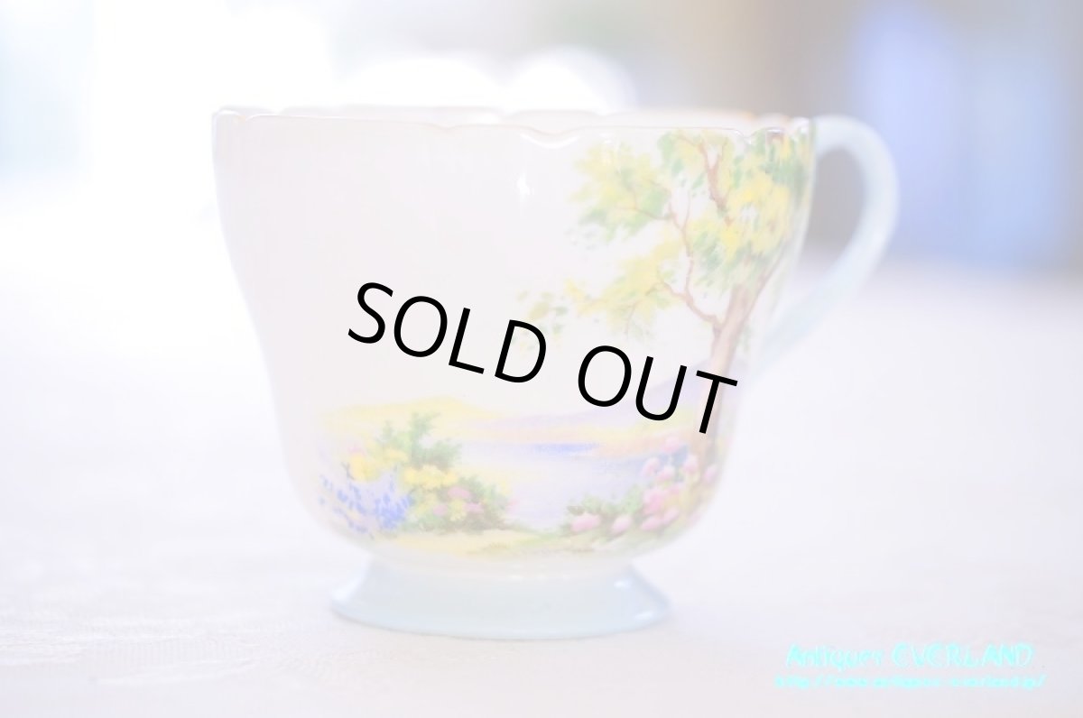 画像8: シェリー　カップ&ソーサー　Woodland　ウッドランド　森林　Richmond (8)