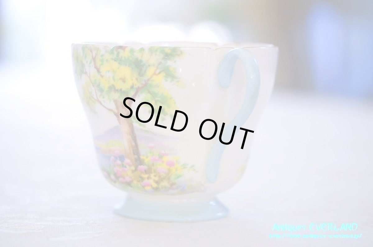 画像4: シェリー　カップ&ソーサー　Woodland　ウッドランド　森林　Richmond (4)