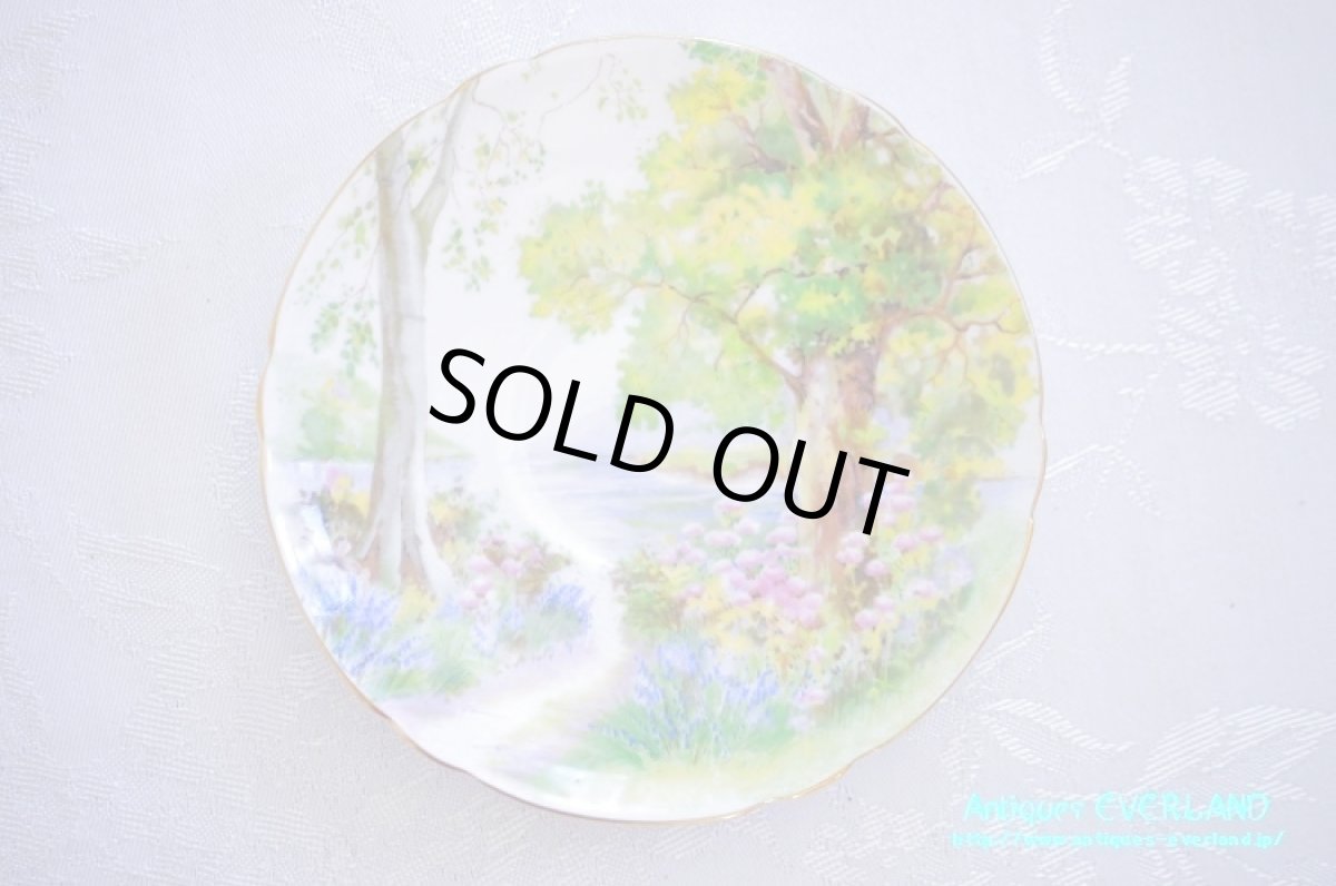 画像15: シェリー　カップ&ソーサー　Woodland　ウッドランド　森林　Richmond (15)