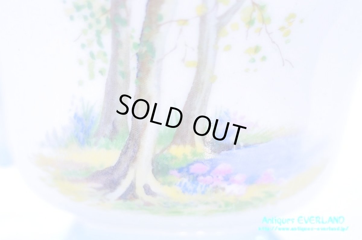 画像13: シェリー　カップ&ソーサー　Woodland　ウッドランド　森林　Richmond (13)