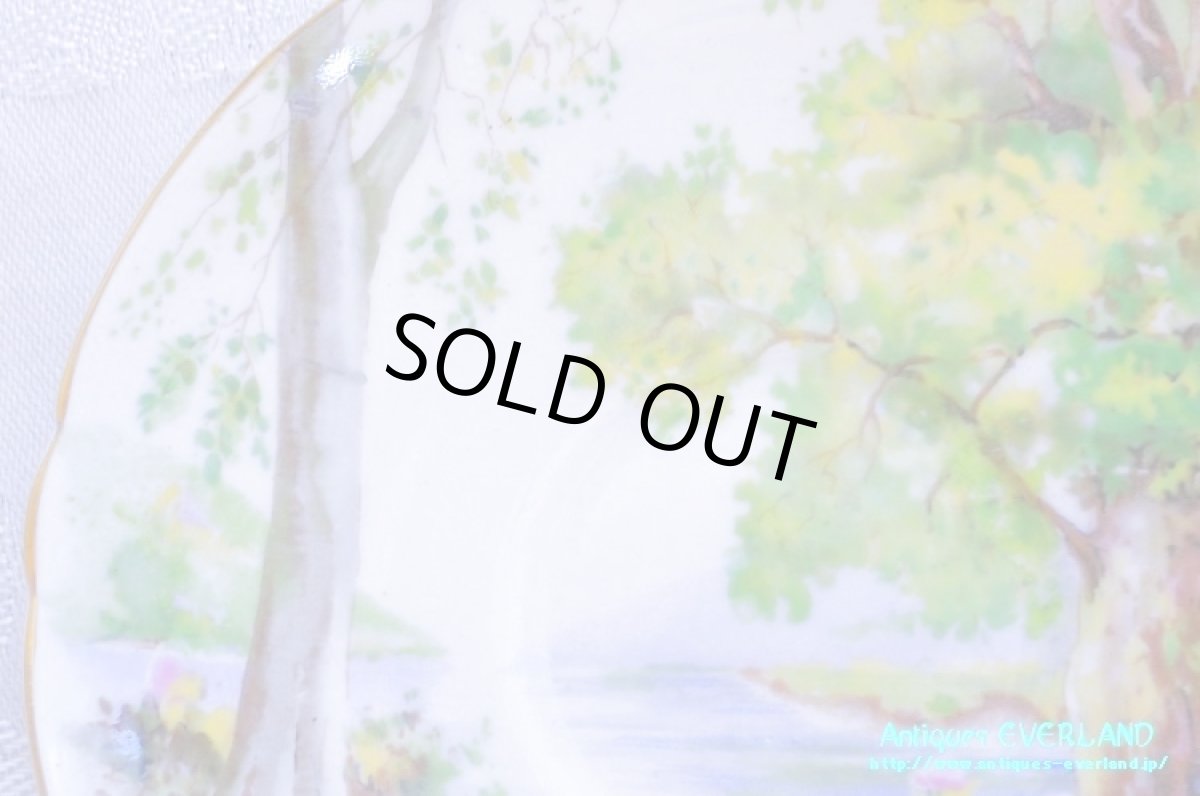 画像18: シェリー　カップ&ソーサー　Woodland　ウッドランド　森林　Richmond (18)