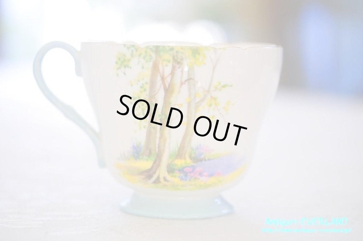 画像6: シェリー　カップ&ソーサー　Woodland　ウッドランド　森林　Richmond (6)