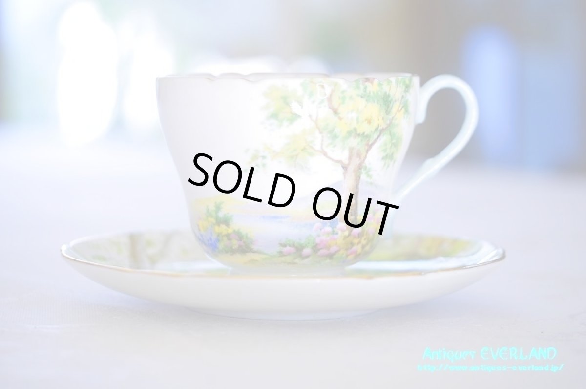 画像2: シェリー　カップ&ソーサー　Woodland　ウッドランド　森林　Richmond (2)