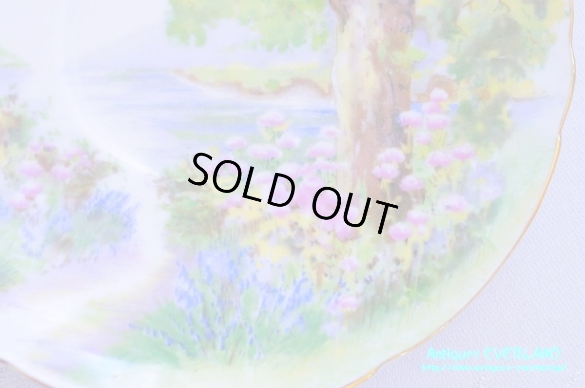 画像17: シェリー　カップ&ソーサー　Woodland　ウッドランド　森林　Richmond (17)