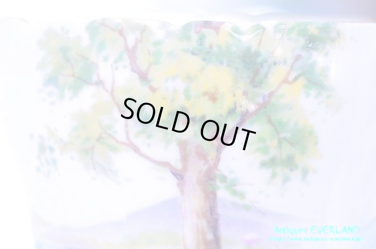 画像10: シェリー　カップ&ソーサー　Woodland　ウッドランド　森林　Richmond (10)