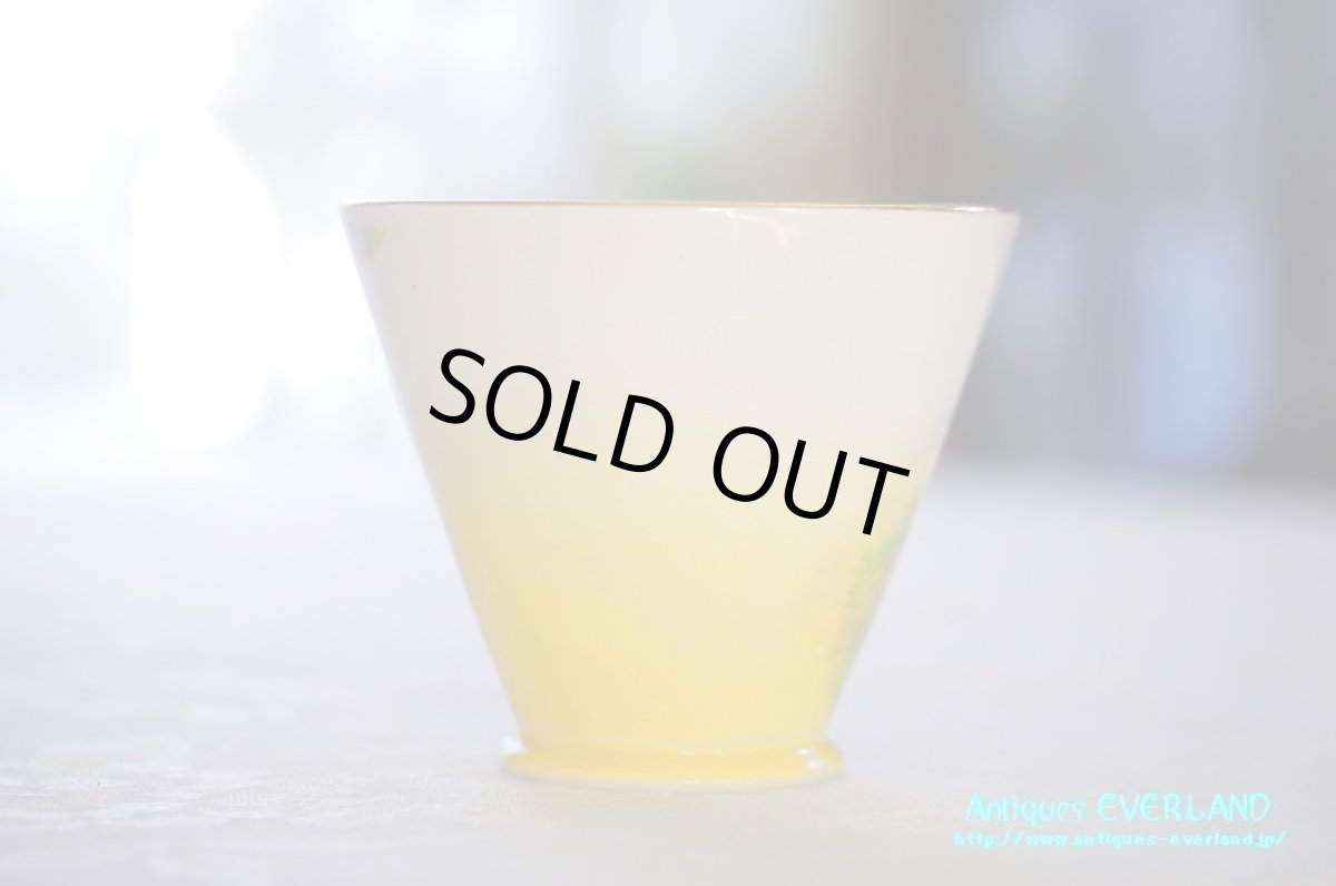 画像8: ロイヤル・ウイントン　カップ&ソーサー　Lynton　リントン　オールド ローズ (8)