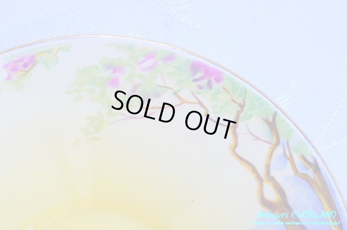 画像15: ロイヤル・ウイントン　カップ&ソーサー　Lynton　リントン　オールド ローズ (15)