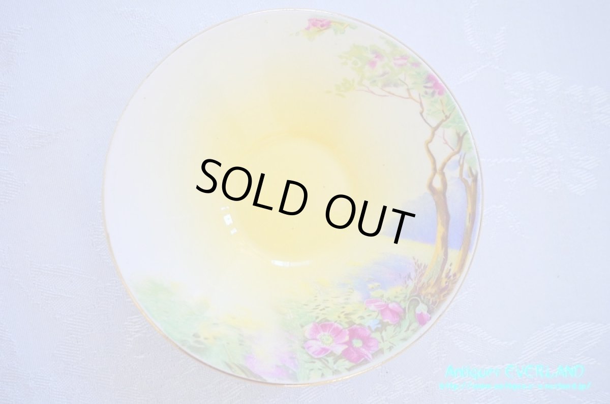 画像14: ロイヤル・ウイントン　カップ&ソーサー　Lynton　リントン　オールド ローズ (14)