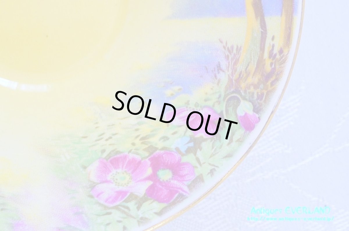 画像16: ロイヤル・ウイントン　カップ&ソーサー　Lynton　リントン　オールド ローズ (16)