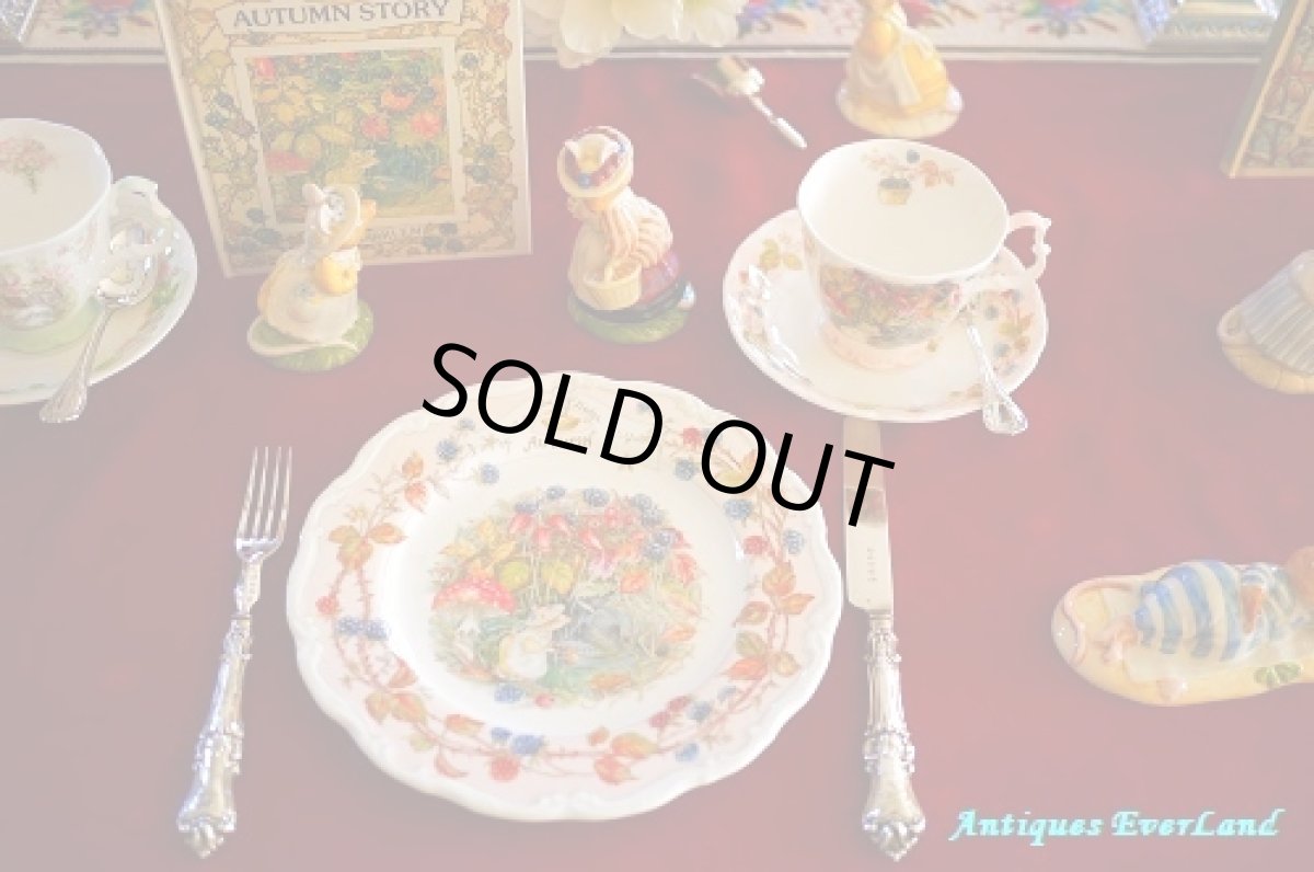 画像19: ロイヤル ドルトン Brambly Hedge Mrs.Apple 陶人形 のばらの村のものがたり (19)