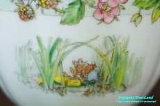 画像11: ロイヤル ドルトン　Brambly Hedge　カップ＆ソーサー Summer 　のばらの村のものがたり (11)