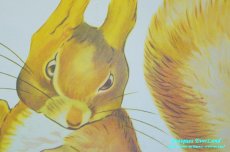 画像11: ピーター ラビット　Portraits of Beatrix Potter's Peter Rabbit,Benjamin Bunny,Jeremy Fisher,etc. (11)
